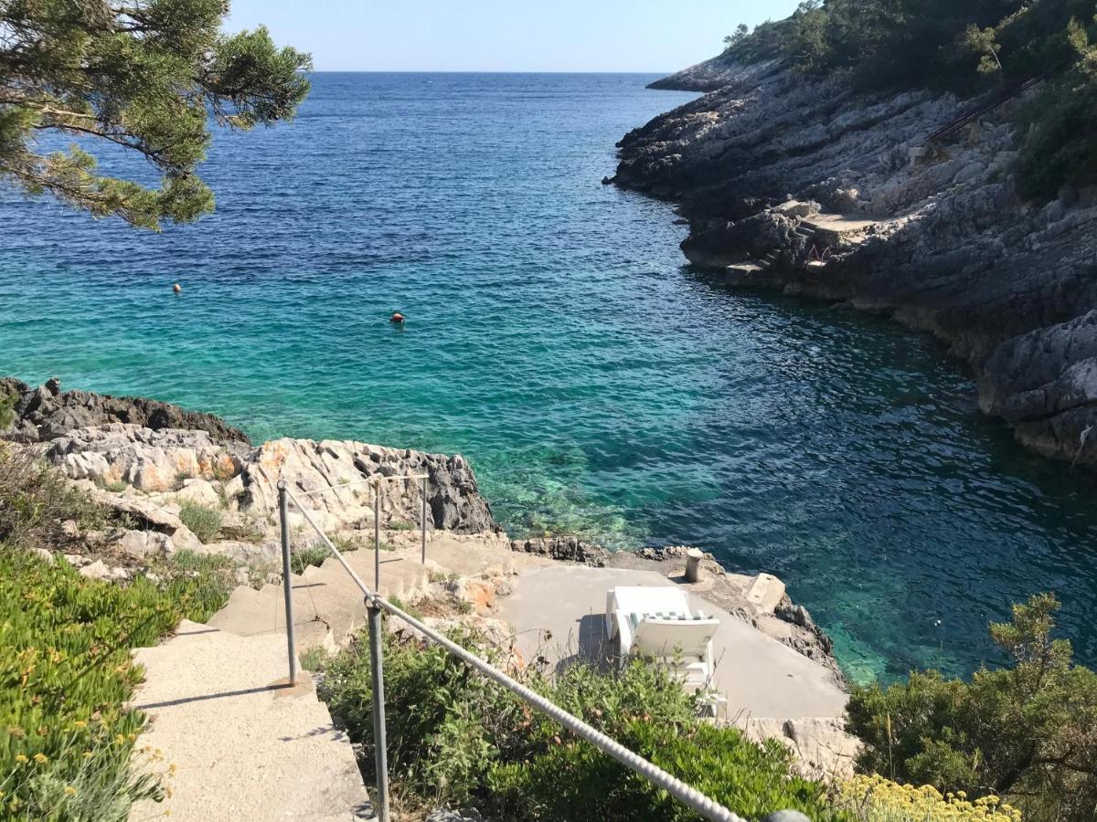 Contessa Robinson House Βίλα Zrnovo Εξωτερικό φωτογραφία