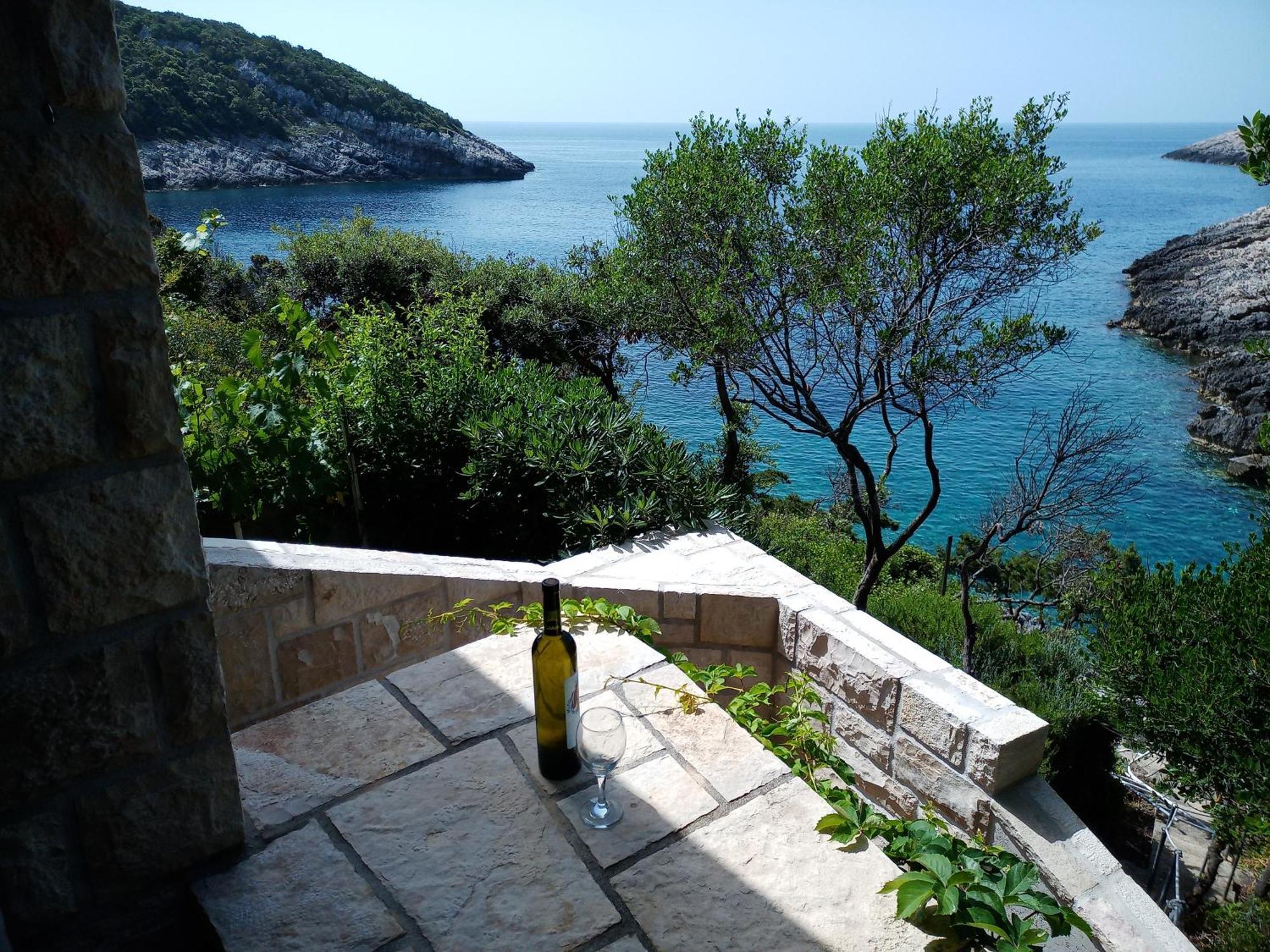 Contessa Robinson House Βίλα Zrnovo Εξωτερικό φωτογραφία